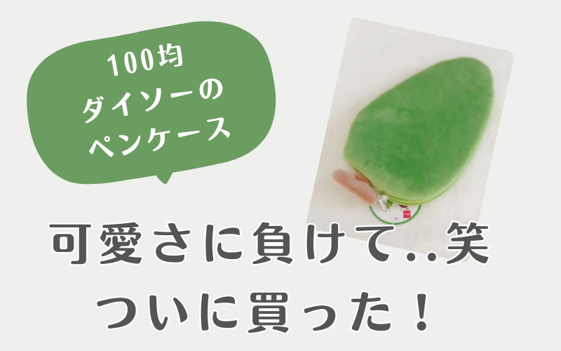 100均ダイソーのペンケースをレビュー