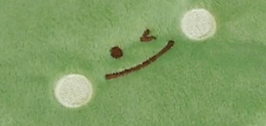 100均ダイソーのペンケースをレビュー