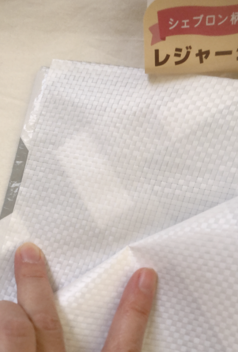 セリアで購入したレジャーシート