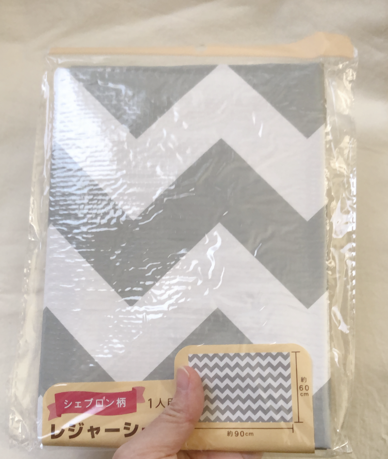 セリアで購入したレジャーシート