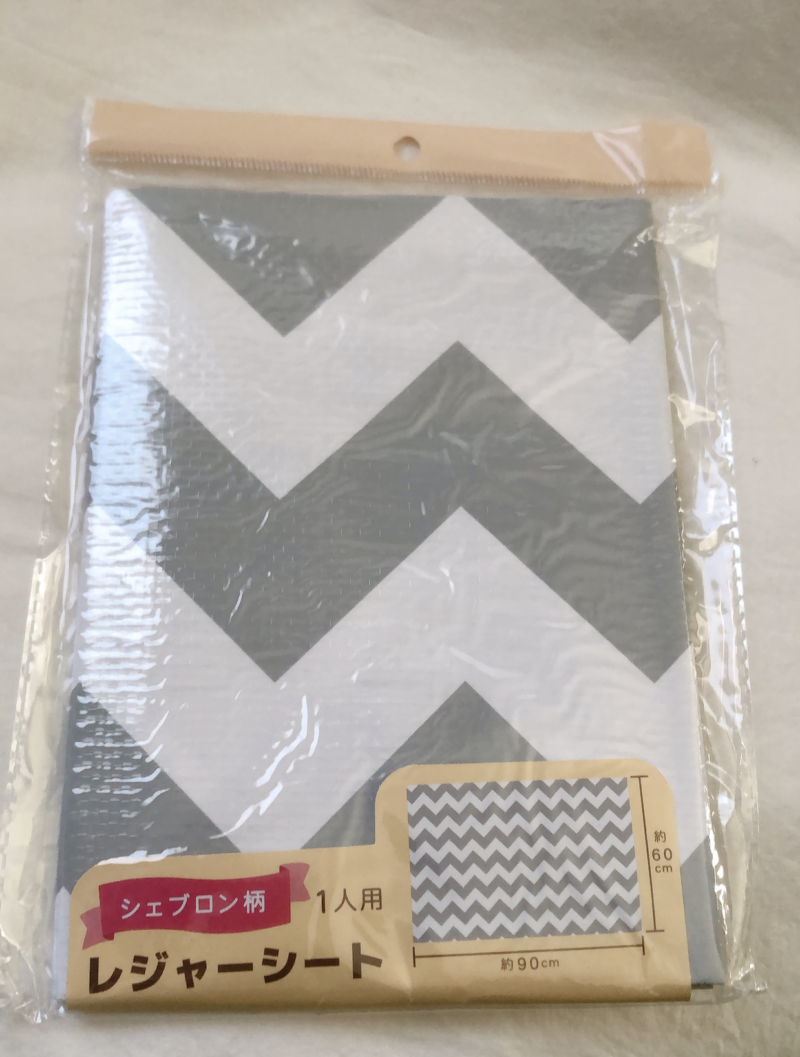 セリアで購入したレジャーシート