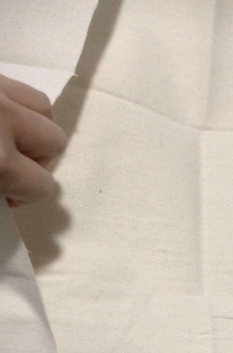 ダイソーで買ったインド綿のはぎれ