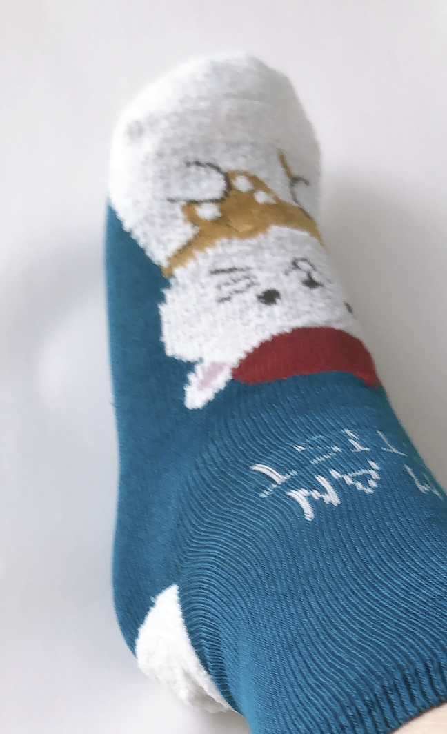 ダイソーで買ったモールソックス（絵描きねこ）