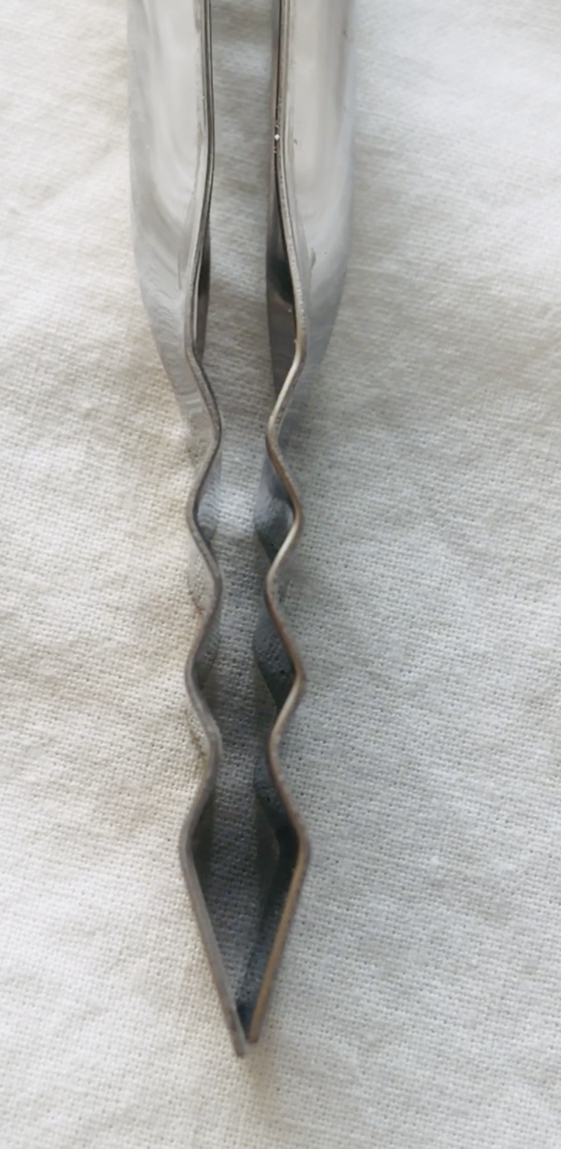 100均セリアで購入したステンレス製トング（ゴミ拾い）