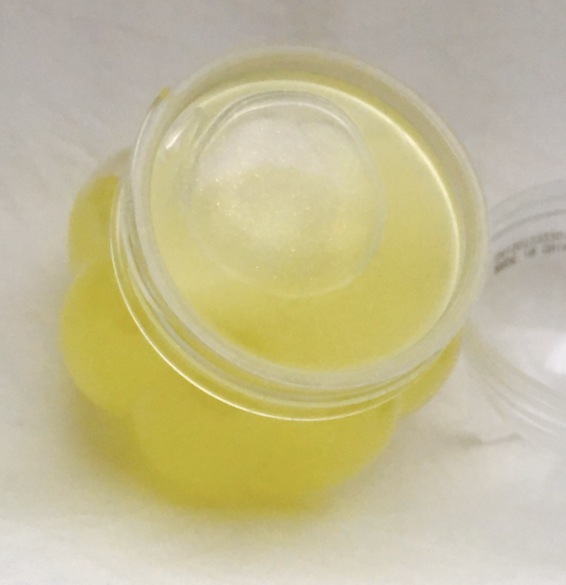 100均ダイソーで買ったスライム（ねこ）