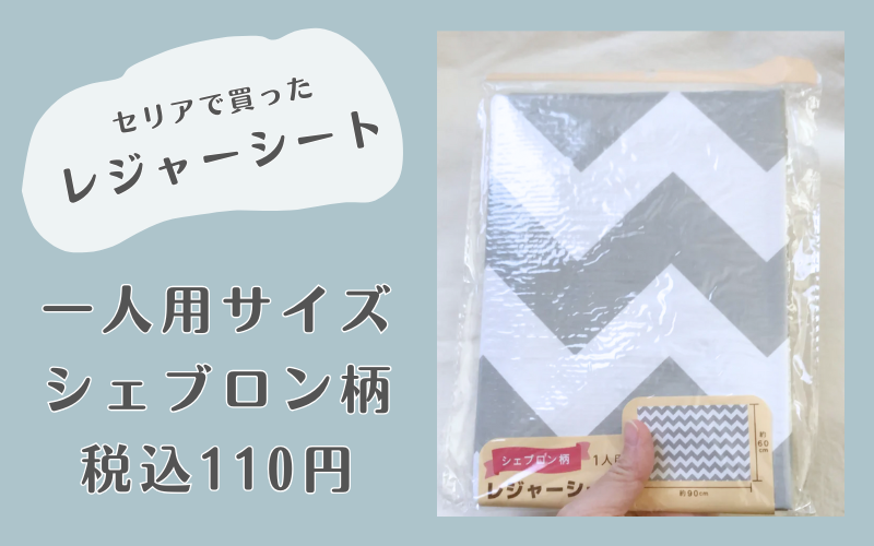 セリアで買ったレジャーシート