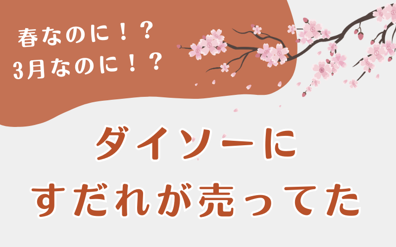 ダイソーに すだれが売ってた
